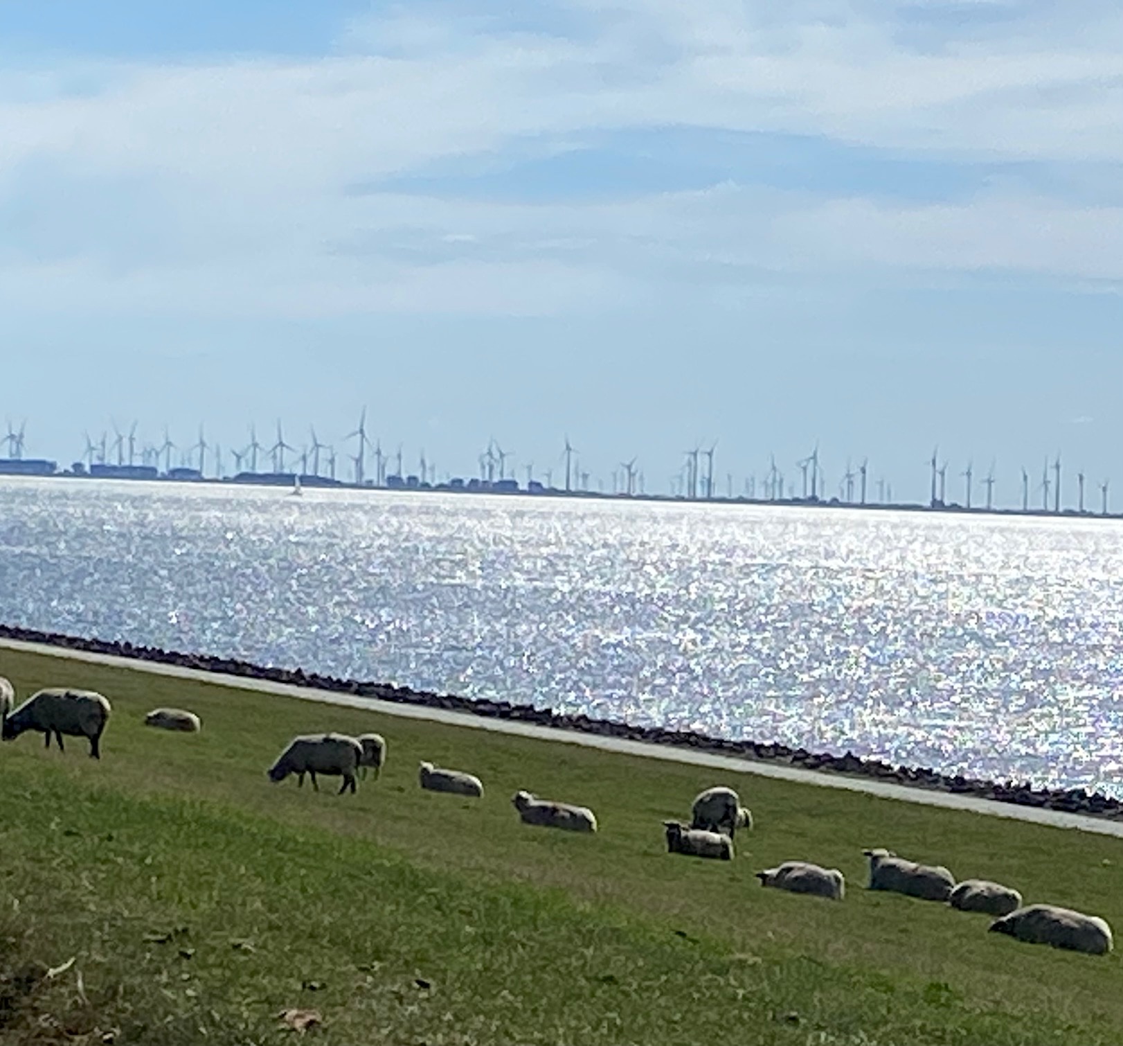 Zweites Deichmotiv – kontinuierlicher, ruhiger Prozess
